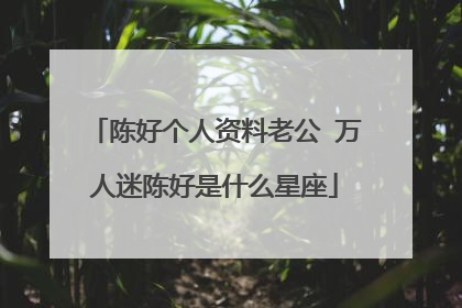 陈好个人资料老公 万人迷陈好是什么星座