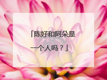 陈好和阿朵是一个人吗?