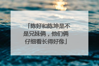 陈好和陈坤是不是兄妹俩，他们俩仔细看长得好像
