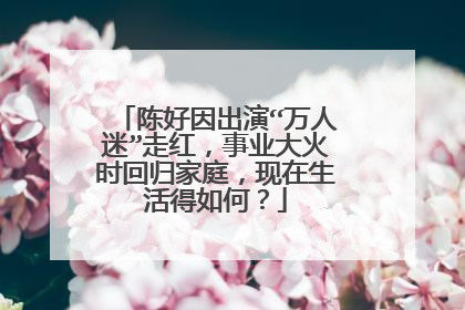 陈好因出演“万人迷”走红，事业大火时回归家庭，现在生活得如何？
