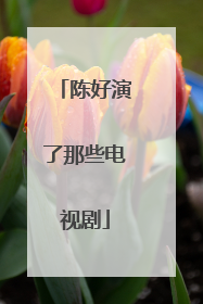 陈好演了那些电视剧