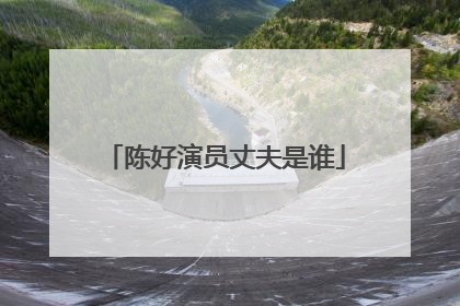 陈好演员丈夫是谁