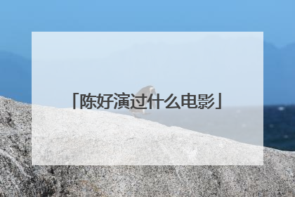 陈好演过什么电影