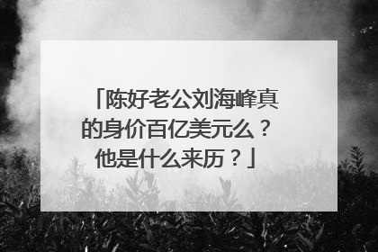 陈好老公刘海峰真的身价百亿美元么?他是什么来历?