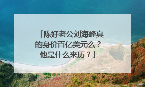 陈好老公刘海峰真的身价百亿美元么?他是什么来历?