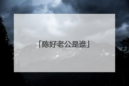 陈好老公是谁
