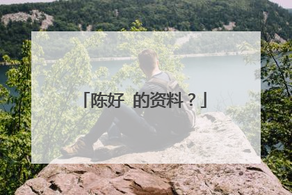 陈好 的资料？