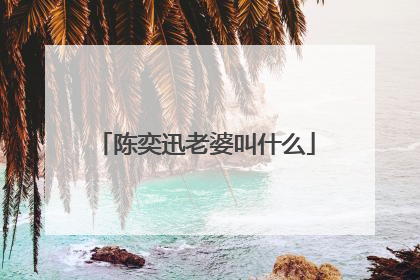 陈奕迅老婆叫什么