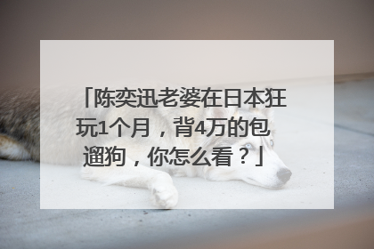 陈奕迅老婆在日本狂玩1个月,背4万的包遛狗,你怎么看?