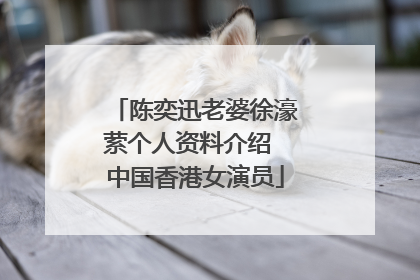 陈奕迅老婆徐濠萦个人资料介绍 中国香港女演员