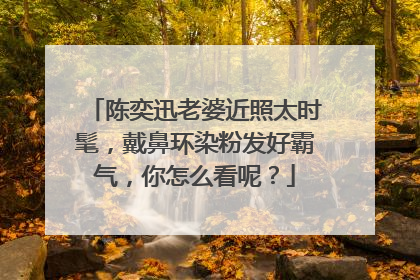 陈奕迅老婆近照太时髦,戴鼻环染粉发好霸气,你怎么看呢?