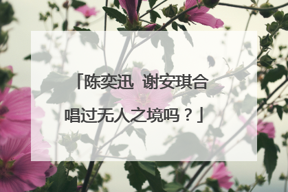 陈奕迅 谢安琪合唱过无人之境吗?