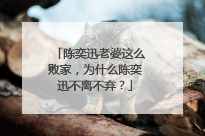 陈奕迅老婆这么败家，为什么陈奕迅不离不弃？