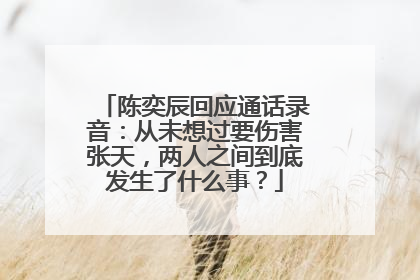 陈奕辰回应通话录音:从未想过要伤害张天,两人之间到底发生了什么事?