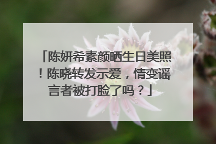 陈妍希素颜晒生日美照!陈晓转发示爱,情变谣言者被打脸了吗?
