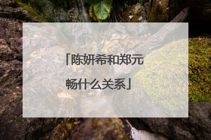 陈妍希和郑元畅什么关系