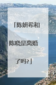 陈妍希和陈晓是离婚了吗?