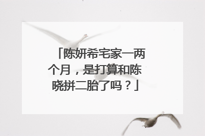 陈妍希宅家一两个月，是打算和陈晓拼二胎了吗？