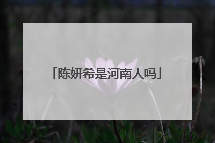 陈妍希是河南人吗