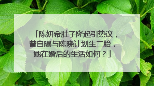 陈妍希肚子隆起引热议，曾自曝与陈晓计划生二胎，她在婚后的生活如何？