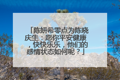 陈妍希零点为陈晓庆生:愿你平安健康,快快乐乐,他们的感情状态如何呢?