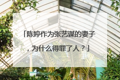 陈婷作为张艺谋的妻子,为什么得罪了人?