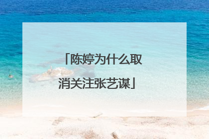 陈婷为什么取消关注张艺谋