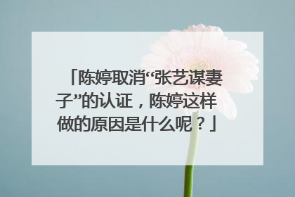 陈婷取消“张艺谋妻子”的认证,陈婷这样做的原因是什么呢?