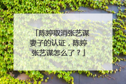 陈婷取消张艺谋妻子的认证，陈婷张艺谋怎么了？