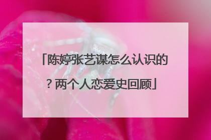 陈婷张艺谋怎么认识的?两个人恋爱史回顾