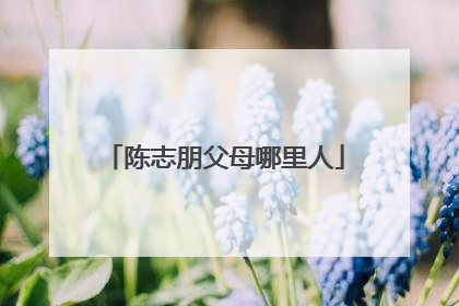 陈志朋父母哪里人