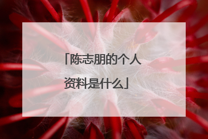 陈志朋的个人资料是什么