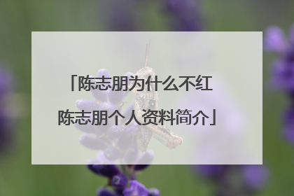 陈志朋为什么不红 陈志朋个人资料简介