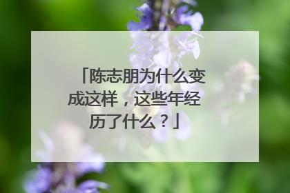 陈志朋为什么变成这样,这些年经历了什么?