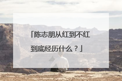 陈志朋从红到不红到底经历什么？