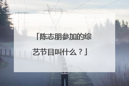 陈志朋参加的综艺节目叫什么？