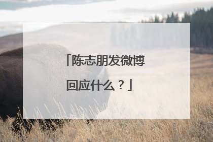 陈志朋发微博回应什么?