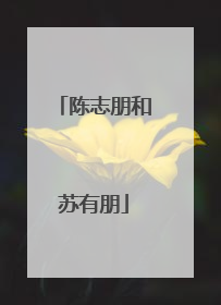 陈志朋和苏有朋