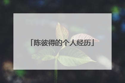 陈彼得的个人经历