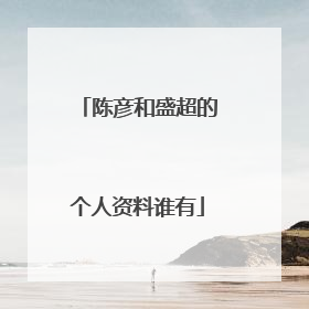 陈彦和盛超的个人资料谁有
