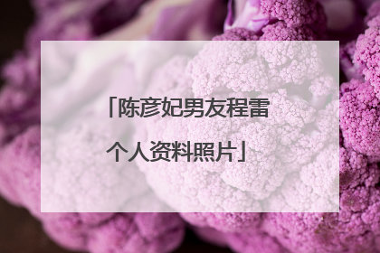 陈彦妃男友程雷个人资料照片