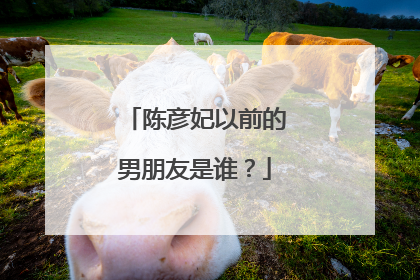 陈彦妃以前的男朋友是谁？