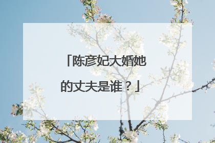 陈彦妃大婚她的丈夫是谁？