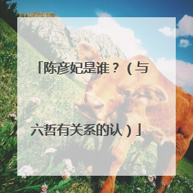 陈彦妃是谁？（与六哲有关系的认）