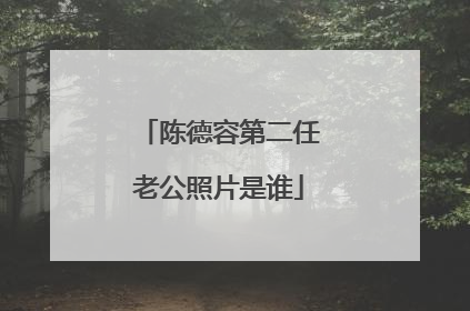 陈德容第二任老公照片是谁