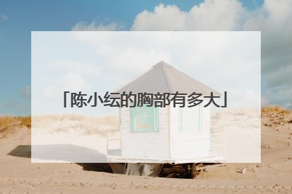 陈小纭的胸部有多大