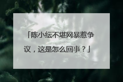 陈小纭不堪网暴惹争议，这是怎么回事？