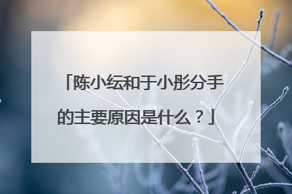 陈小纭和于小彤分手的主要原因是什么?