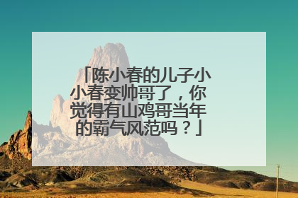 陈小春的儿子小小春变帅哥了,你觉得有山鸡哥当年的霸气风范吗?
