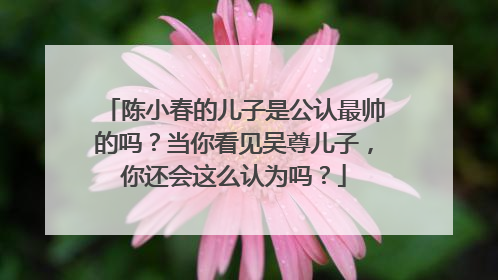 陈小春的儿子是公认最帅的吗？当你看见吴尊儿子，你还会这么认为吗？